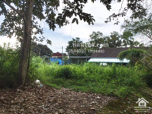 ขายที่ดินเพื่อที่อยู่อาศัย-ติดแม่น้ำจันทุรี-โฉนด-153ตรว-ตท่าช้าง-อเมือง-จจันทบุรี-รหัส-l296