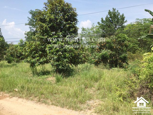 ที่ดินแบ่งขาย-แสลง-จันทบุรี-โฉนดแปลงละ-119ตรวมี2แปลง-ตแสลง-อเมือง-จจันทบุรี-รหัส-l297-ขายที่ดินส