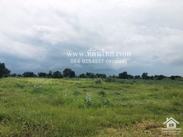 ขายที่ดินโคสำโรง-ขายที่ดินลพบุรี-5ไร่-โฉนด-ตเพนียด-อโคกสำโรง-จลพบุรี-รหัส-l298