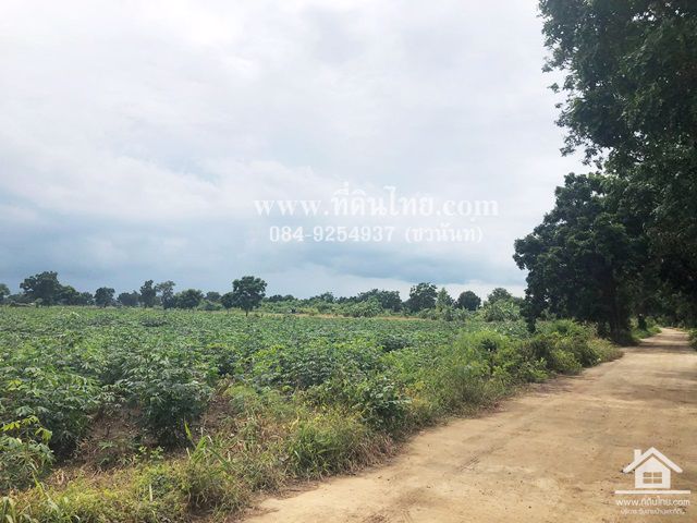 ขายที่ดินโคสำโรง-ขายที่ดินลพบุรี-5ไร่-โฉนด-ตเพนียด-อโคกสำโรง-จลพบุรี-รหัส-l298