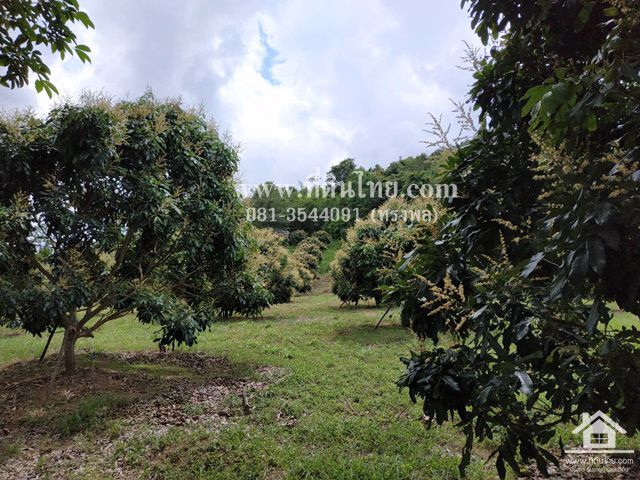 ขายที่ดินสวนลำไย-วิวสวย-ทุ่งกร่างทับไทร-35ไร่-ตทับไทร-อโป่งน้ำร้อน-จจันทบุรี-รหัส-l273