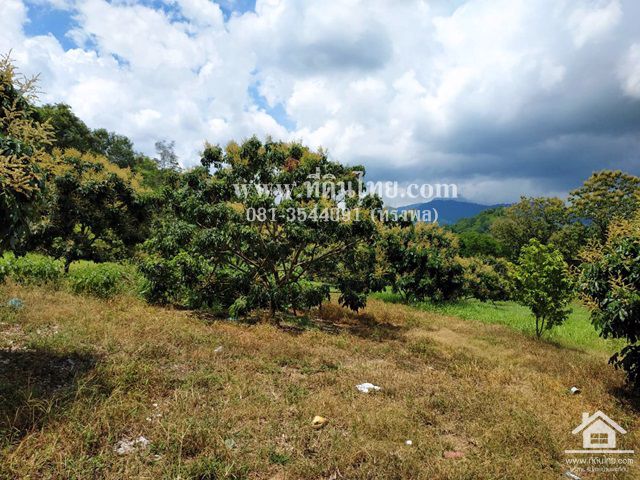 ขายที่ดินสวนลำไย-วิวสวย-ทุ่งกร่างทับไทร-35ไร่-ตทับไทร-อโป่งน้ำร้อน-จจันทบุรี-รหัส-l273