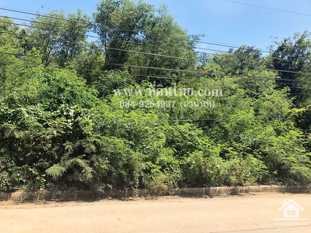 ขายที่ดินท่าวุ้ง-ขายที่ดินลพบุรี-1ไร่-1งาน-20ตรวโฉนด-ตบางคู้-อท่าวุ้ง-จลพบุรี-รหัส-l300