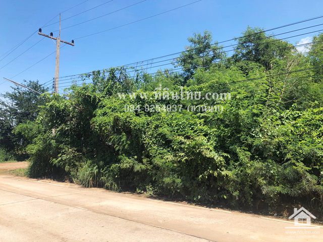 ขายที่ดินท่าวุ้ง-ขายที่ดินลพบุรี-1ไร่-1งาน-20ตรวโฉนด-ตบางคู้-อท่าวุ้ง-จลพบุรี-รหัส-l300