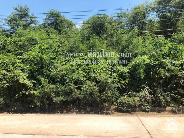 ขายที่ดินท่าวุ้ง-ขายที่ดินลพบุรี-1ไร่-1งาน-20ตรวโฉนด-ตบางคู้-อท่าวุ้ง-จลพบุรี-รหัส-l300