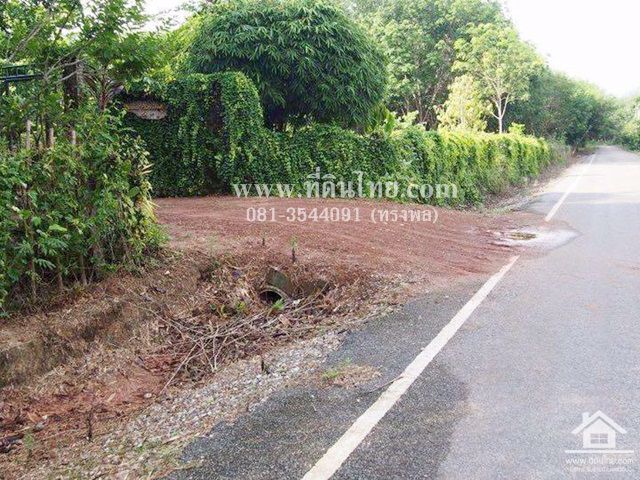 ขายสวนยางพารา-พร้อมบ้านเขาชะเมาระยอง-โฉนด-12ไร่-2งาน-62ตรว-ตน้ำเป็น-อเขาชะเมา-จระยอง-รหัส-l301