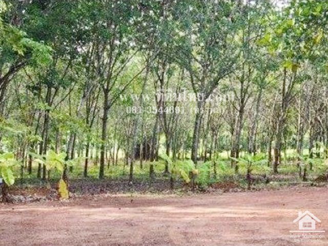 ขายสวนยางพารา-พร้อมบ้านเขาชะเมาระยอง-โฉนด-12ไร่-2งาน-62ตรว-ตน้ำเป็น-อเขาชะเมา-จระยอง-รหัส-l301