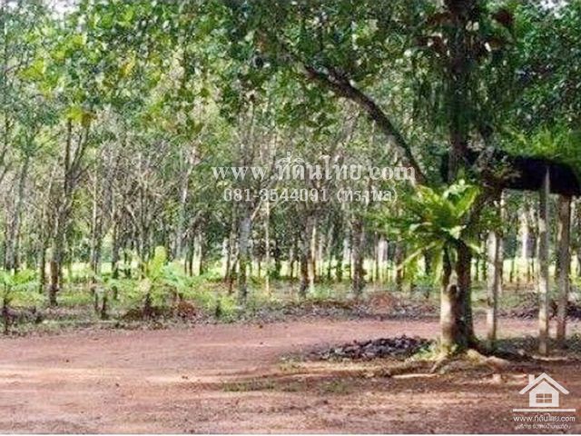ขายสวนยางพารา-พร้อมบ้านเขาชะเมาระยอง-โฉนด-12ไร่-2งาน-62ตรว-ตน้ำเป็น-อเขาชะเมา-จระยอง-รหัส-l301