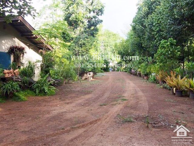 ขายสวนยางพารา-พร้อมบ้านเขาชะเมาระยอง-โฉนด-12ไร่-2งาน-62ตรว-ตน้ำเป็น-อเขาชะเมา-จระยอง-รหัส-l301