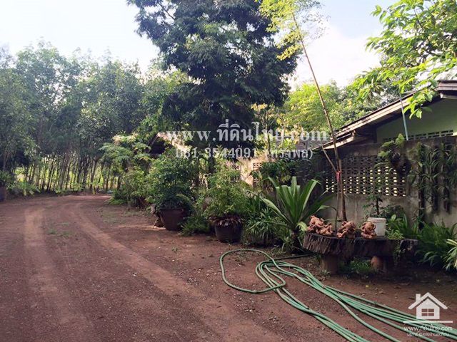 ขายสวนยางพารา-พร้อมบ้านเขาชะเมาระยอง-โฉนด-12ไร่-2งาน-62ตรว-ตน้ำเป็น-อเขาชะเมา-จระยอง-รหัส-l301