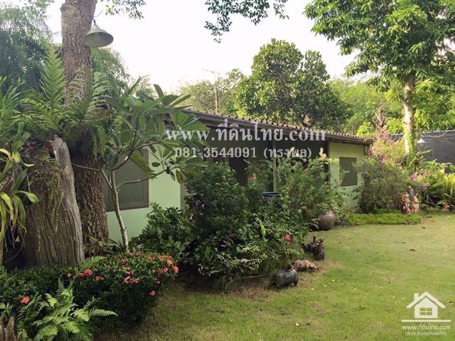 ขายสวนยางพารา-พร้อมบ้านเขาชะเมาระยอง-โฉนด-12ไร่-2งาน-62ตรว-ตน้ำเป็น-อเขาชะเมา-จระยอง-รหัส-l301