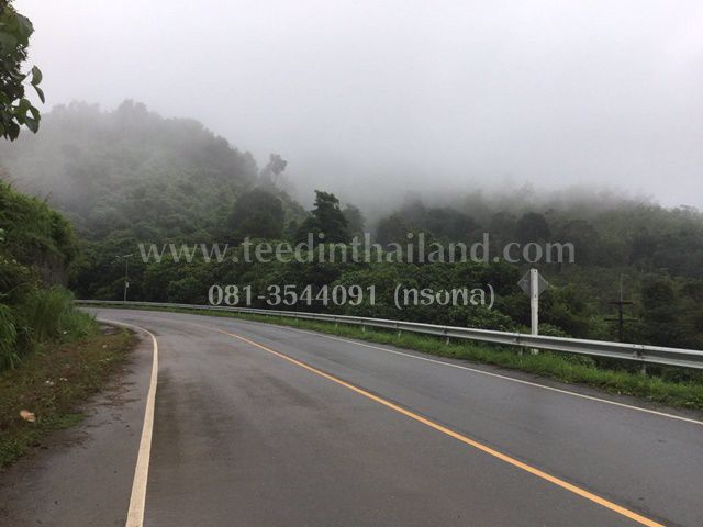 ที่ดินแบ่งขาย-ทำล้งรับซื้อผลไม้-5-ไร่-เอกสาร-นส3ก-ตปัถวี-อมะขาม-จจันทบุรี-รหัสl302