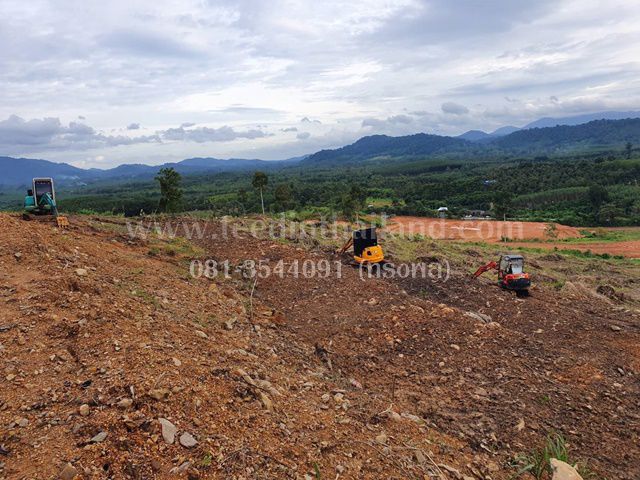 ที่ดินแบ่งขาย-ทำล้งรับซื้อผลไม้-5-ไร่-เอกสาร-นส3ก-ตปัถวี-อมะขาม-จจันทบุรี-รหัสl302