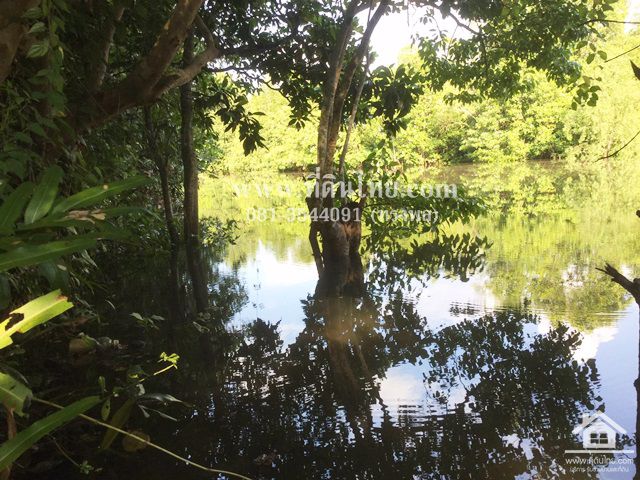 ขายที่ดินติดคลอง-ท่าใหม่-จันทบุรี-โฉนด-4-0-47ไร่-ตตะกาดเง้า-อท่าใหม่-จจันทบุรี-รหัส-l306