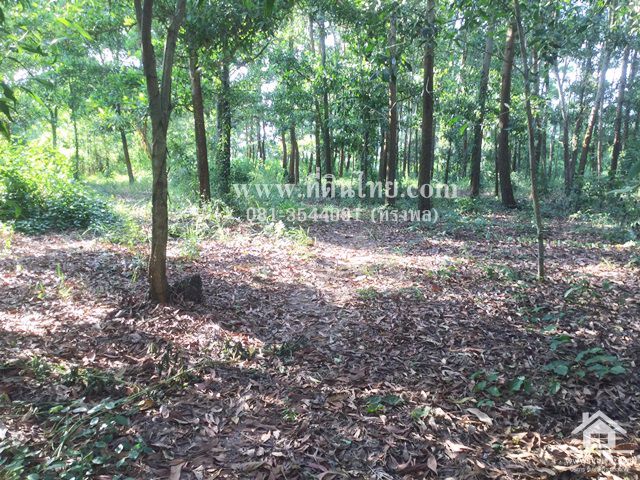 ขายที่ดินติดคลอง-ท่าใหม่-จันทบุรี-โฉนด-4-0-47ไร่-ตตะกาดเง้า-อท่าใหม่-จจันทบุรี-รหัส-l306