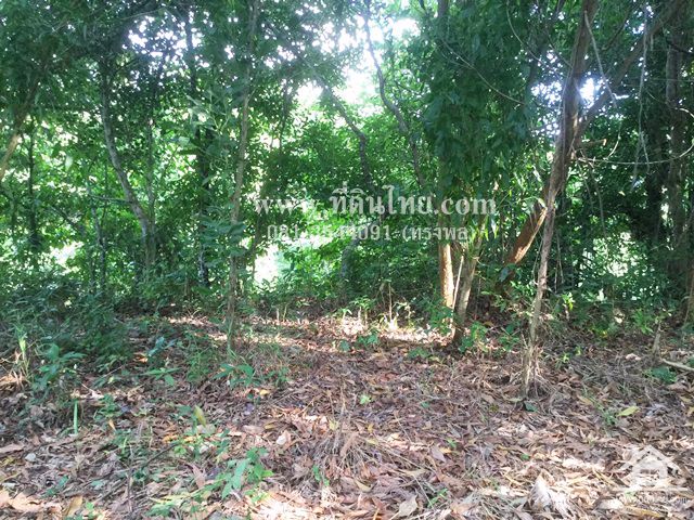 ขายที่ดินติดคลอง-ท่าใหม่-จันทบุรี-โฉนด-4-0-47ไร่-ตตะกาดเง้า-อท่าใหม่-จจันทบุรี-รหัส-l306