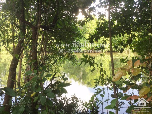 ขายที่ดินติดคลอง-ท่าใหม่-จันทบุรี-โฉนด-4-0-47ไร่-ตตะกาดเง้า-อท่าใหม่-จจันทบุรี-รหัส-l306