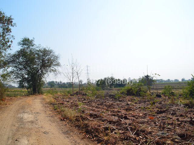 ขายที่ดินประดู่งาม-20-3-89-ไร่-ตประดู่งาม-อศรีเทพ-จเพชรบูรณ์-รหัส-l307