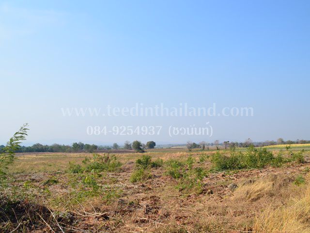 ขายที่ดินประดู่งาม-20-3-89-ไร่-ตประดู่งาม-อศรีเทพ-จเพชรบูรณ์-รหัส-l307