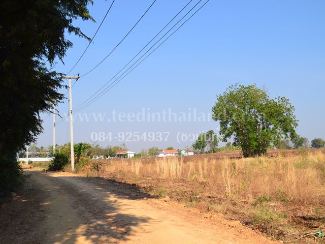 ขายที่ดินประดู่งาม-20-3-89-ไร่-ตประดู่งาม-อศรีเทพ-จเพชรบูรณ์-รหัส-l307