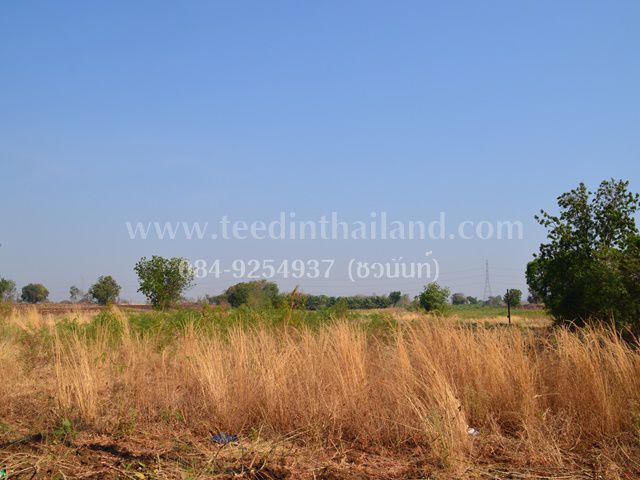 ขายที่ดินประดู่งาม-20-3-89-ไร่-ตประดู่งาม-อศรีเทพ-จเพชรบูรณ์-รหัส-l307