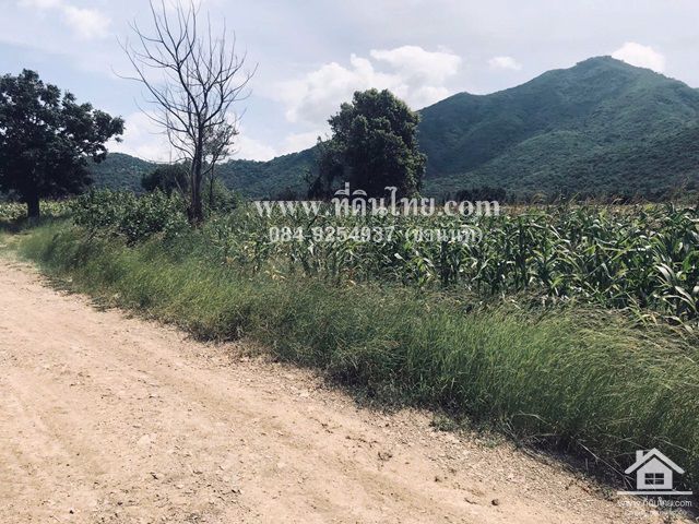 ขายที่ดินโคกสำโรง-ขายที่ดินลพบุรี-47ไร่-นส3ก-ตห้วยโป่ง-อโคกสำโรง-จลพบุรี-รหัส-l308