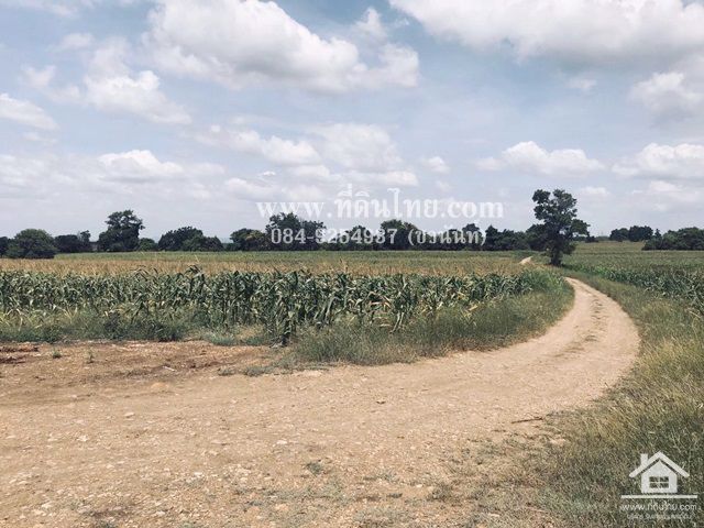 ขายที่ดินโคกสำโรง-ขายที่ดินลพบุรี-47ไร่-นส3ก-ตห้วยโป่ง-อโคกสำโรง-จลพบุรี-รหัส-l308