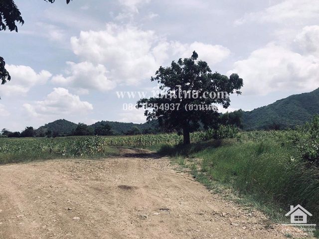 ขายที่ดินโคกสำโรง-ขายที่ดินลพบุรี-47ไร่-นส3ก-ตห้วยโป่ง-อโคกสำโรง-จลพบุรี-รหัส-l308