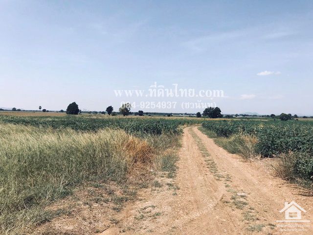 ขายที่ดินโคกสำโรง-ขายที่ดินลพบุรี-47ไร่-นส3ก-ตห้วยโป่ง-อโคกสำโรง-จลพบุรี-รหัส-l308