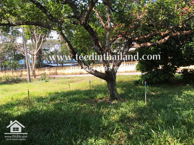 ที่ดินติดถนนลาดยาง-200ตรว-ตพลับพลาอเมือง-จจันทบุรี-รหัส-l36