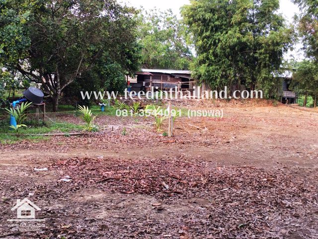 ที่ดินติดถนนลาดยาง-200ตรว-ตพลับพลาอเมือง-จจันทบุรี-รหัส-l36