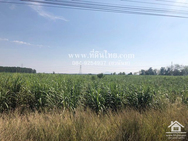 ขายที่ดินศรีเทพ-ขายที่ดินเพชรบูรณ์-24ไร่-2งาน-45ตรว-โฉนด-ตสระกรวด-อศรีเทพ-จเพชรบูรณ์-รหัส-l309