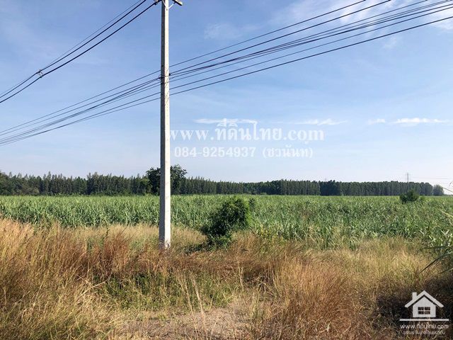 ขายที่ดินศรีเทพ-ขายที่ดินเพชรบูรณ์-24ไร่-2งาน-45ตรว-โฉนด-ตสระกรวด-อศรีเทพ-จเพชรบูรณ์-รหัส-l309