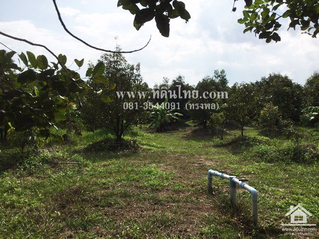 ขายสวนทุเรียน-มะขาม-จันทบุรี-โฉนด-24-2-16ไร่-ตมะขาม-อมะขาม-จจันทบุรี-รหัส-l314