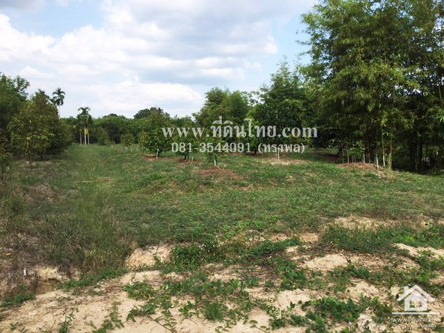 ขายสวนทุเรียน-มะขาม-จันทบุรี-โฉนด-24-2-16ไร่-ตมะขาม-อมะขาม-จจันทบุรี-รหัส-l314