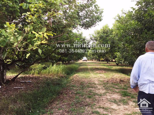 ขายสวนทุเรียน-มะขาม-จันทบุรี-โฉนด-24-2-16ไร่-ตมะขาม-อมะขาม-จจันทบุรี-รหัส-l314