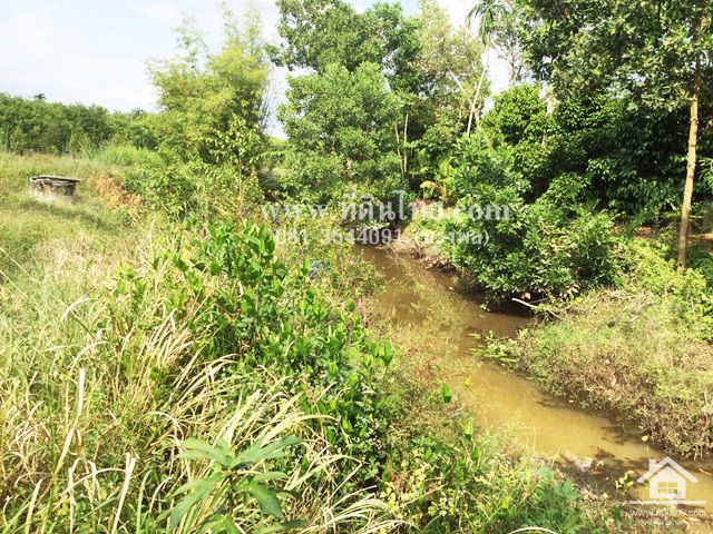 ขายสวนทุเรียน-มะขาม-จันทบุรี-โฉนด-24-2-16ไร่-ตมะขาม-อมะขาม-จจันทบุรี-รหัส-l314