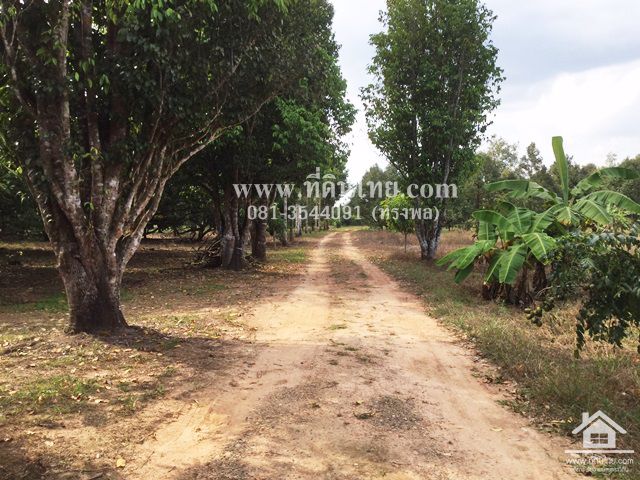 ขายสวนทุเรียน-มะขาม-จันทบุรี-โฉนด-24-2-16ไร่-ตมะขาม-อมะขาม-จจันทบุรี-รหัส-l314