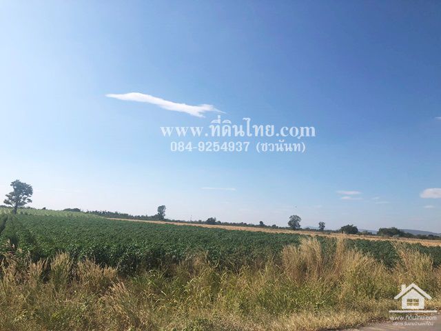 ขายที่ดินพัฒนานิคม-ขายที่ดินลพบุรี-โฉนด-24-ไร่-1-งาน-50-ตรว-ตพัฒนานิคม-อพัฒนานิคม-จลพบุรี-รหัส