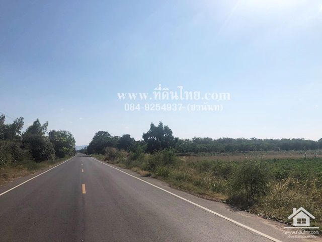 ขายที่ดินพัฒนานิคม-ขายที่ดินลพบุรี-โฉนด-24-ไร่-1-งาน-50-ตรว-ตพัฒนานิคม-อพัฒนานิคม-จลพบุรี-รหัส