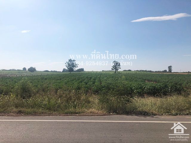 ขายที่ดินพัฒนานิคม-ขายที่ดินลพบุรี-โฉนด-24-ไร่-1-งาน-50-ตรว-ตพัฒนานิคม-อพัฒนานิคม-จลพบุรี-รหัส