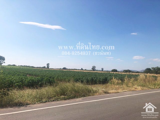 ขายที่ดินพัฒนานิคม-ขายที่ดินลพบุรี-โฉนด-24-ไร่-1-งาน-50-ตรว-ตพัฒนานิคม-อพัฒนานิคม-จลพบุรี-รหัส