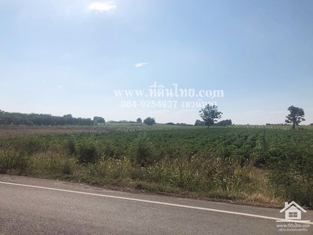 ขายที่ดินพัฒนานิคม-ขายที่ดินลพบุรี-โฉนด-24-ไร่-1-งาน-50-ตรว-ตพัฒนานิคม-อพัฒนานิคม-จลพบุรี-รหัส