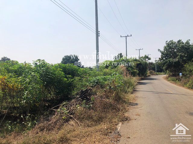 ขายที่ดินยางโทน-ขายที่ดินหนองม่วง-30ไร่เศษ-โฉนด-ตยางโทน-อหนองม่วง-จลพบุรี-รหัส-l316