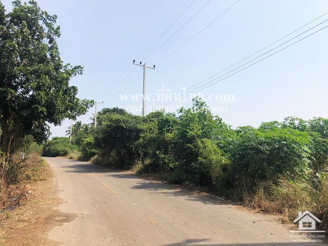 ขายที่ดินยางโทน-ขายที่ดินหนองม่วง-30ไร่เศษ-โฉนด-ตยางโทน-อหนองม่วง-จลพบุรี-รหัส-l316