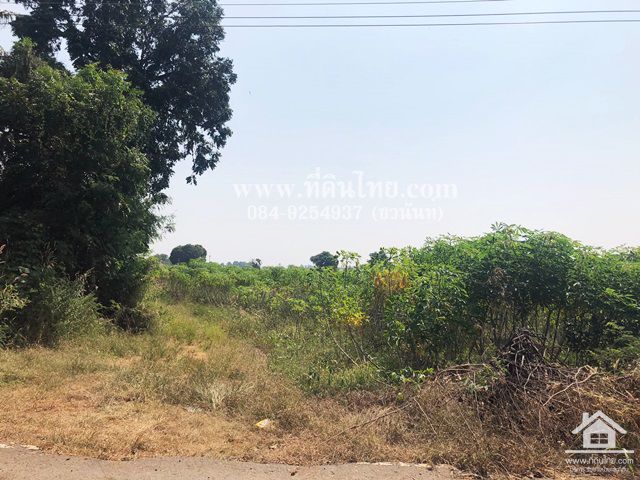 ขายที่ดินยางโทน-ขายที่ดินหนองม่วง-30ไร่เศษ-โฉนด-ตยางโทน-อหนองม่วง-จลพบุรี-รหัส-l316