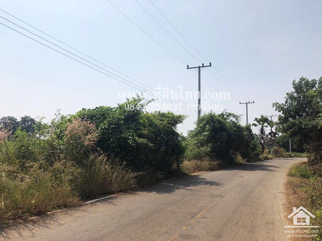 ขายที่ดินยางโทน-ขายที่ดินหนองม่วง-30ไร่เศษ-โฉนด-ตยางโทน-อหนองม่วง-จลพบุรี-รหัส-l316