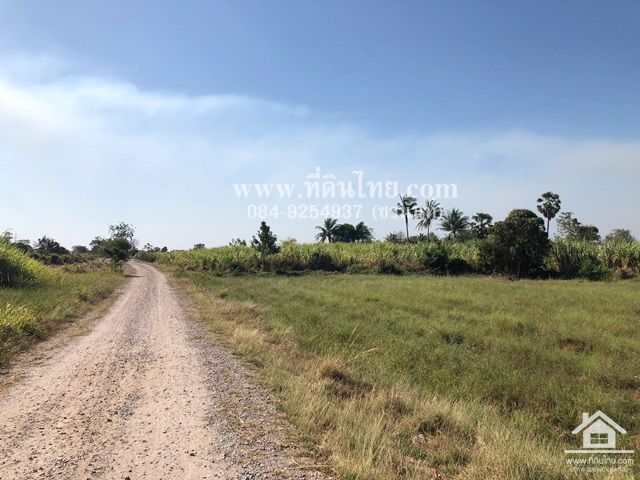 ขายที่ดินชัยบาดาล-ขายที่ดินหนองยายโต๊ะ-10-ไร่-93-ตรว-โฉนด-ตหนองยายโต็ะ-อชัยบาดาล-จลพบุรี-รหัส