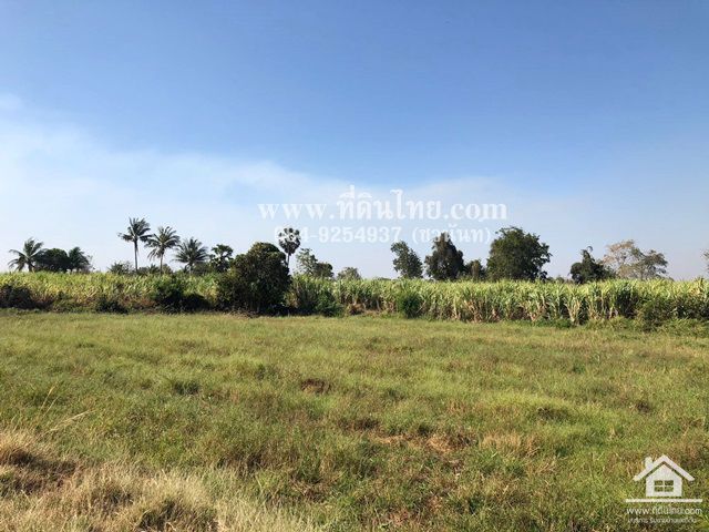 ขายที่ดินชัยบาดาล-ขายที่ดินหนองยายโต๊ะ-10-ไร่-93-ตรว-โฉนด-ตหนองยายโต็ะ-อชัยบาดาล-จลพบุรี-รหัส