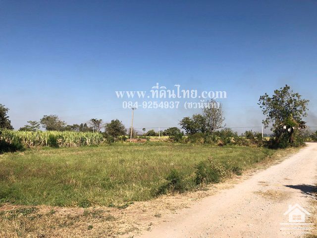 ขายที่ดินชัยบาดาล-ขายที่ดินหนองยายโต๊ะ-10-ไร่-93-ตรว-โฉนด-ตหนองยายโต็ะ-อชัยบาดาล-จลพบุรี-รหัส